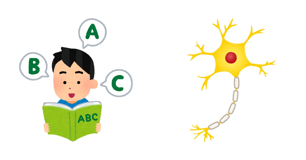 左に英語の本を開いて A・B・C と声に出して読む男性のイラスト、右に脳の神経細胞 (ニューロン) のイラストが並ぶ。声に出して読むことと記憶の仕組みを表している。
